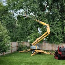Lawn Irrigation Installation and Maintenance in Ballenger Creek, MD
